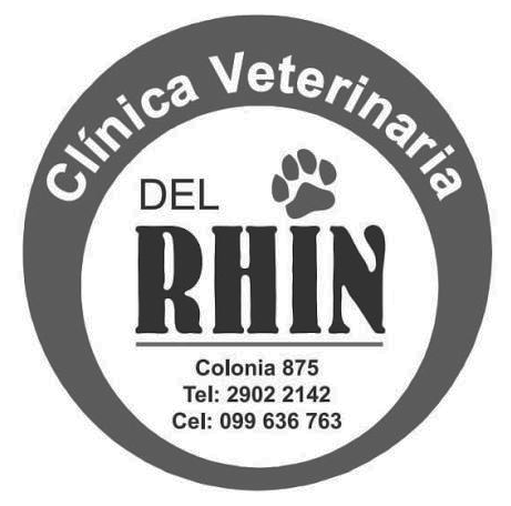 rhin